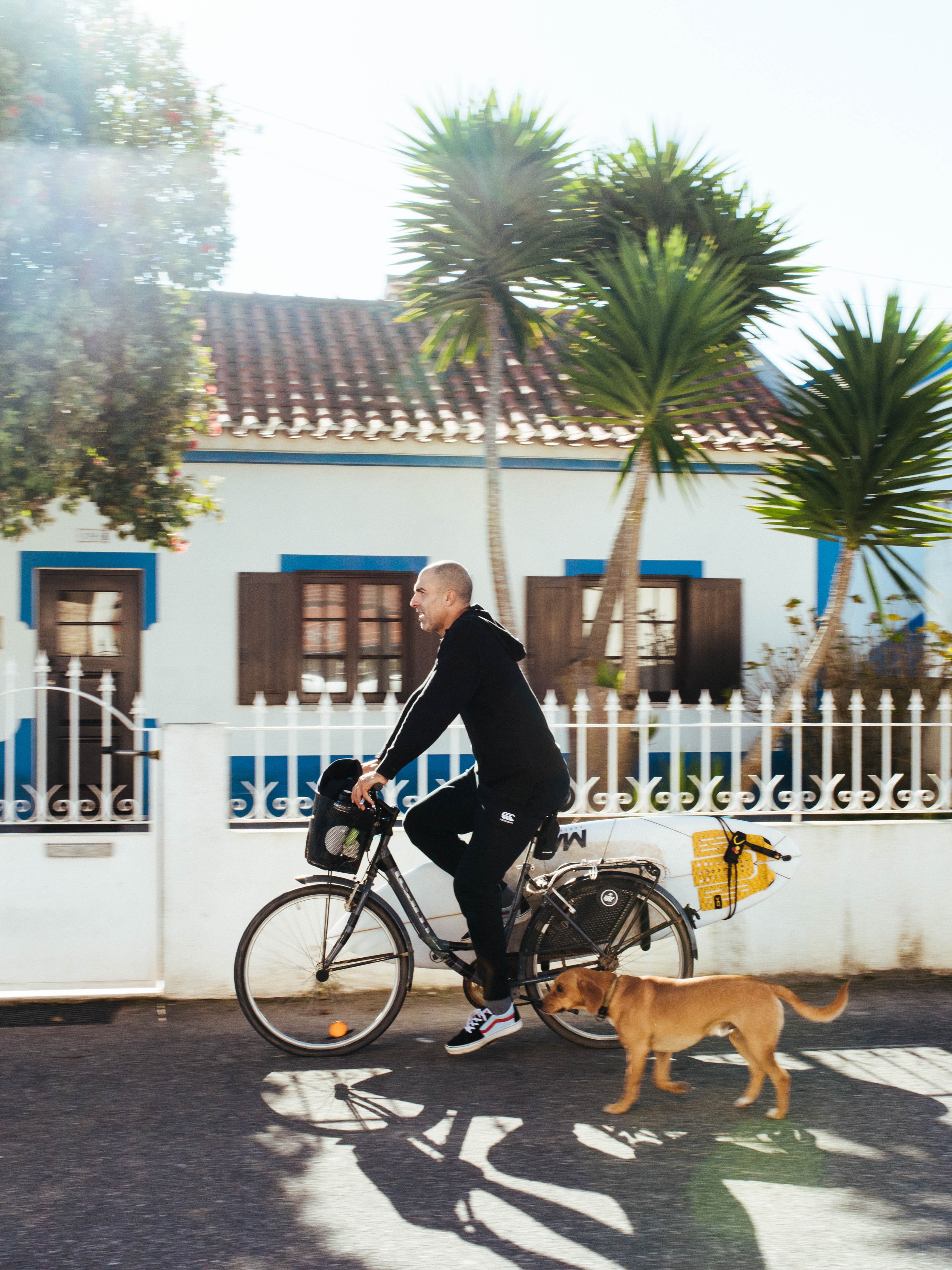 henry riding bike with dog